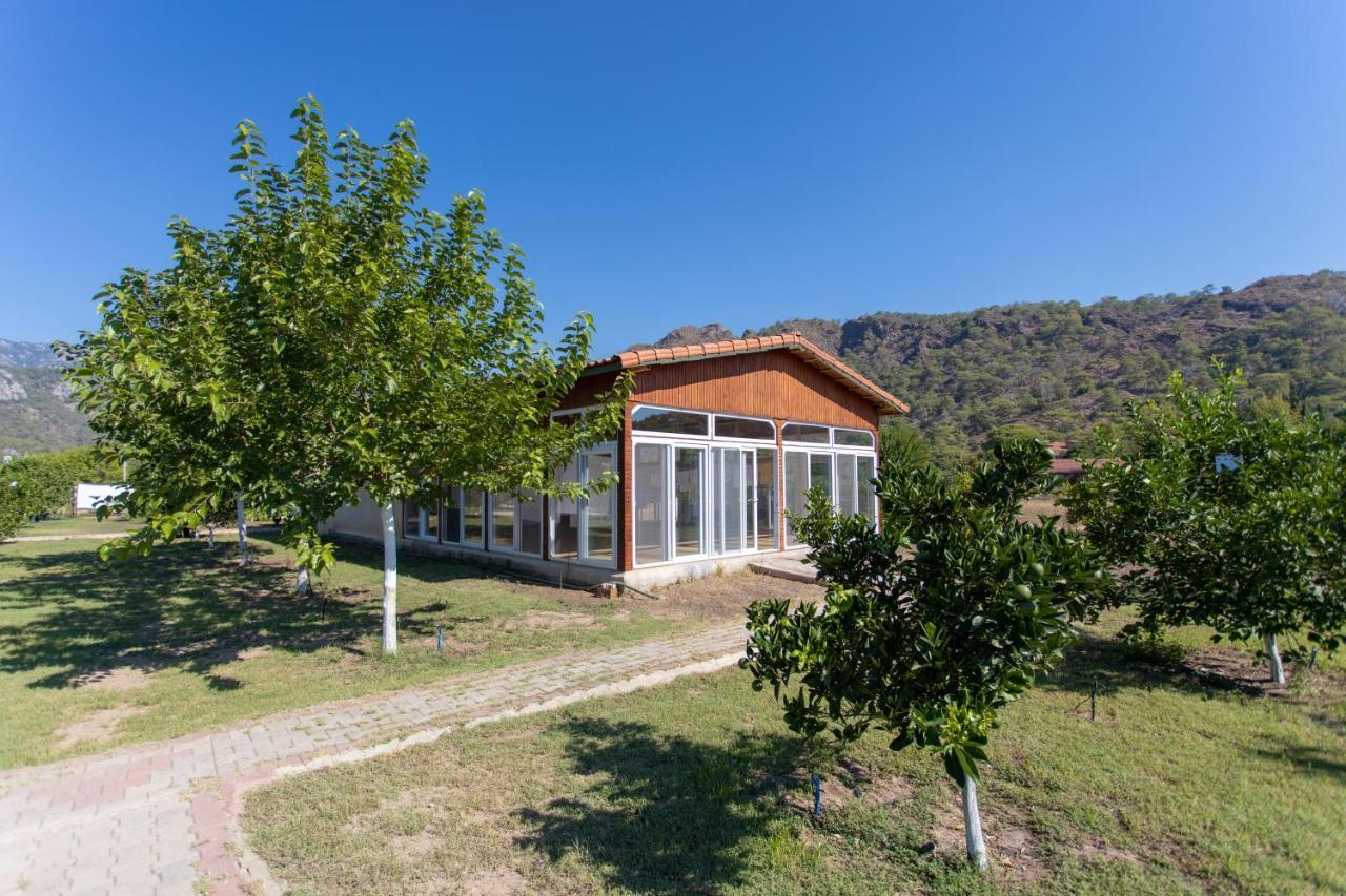 Ugur Pansiyon Bungalows Çıralı Exteriör bild