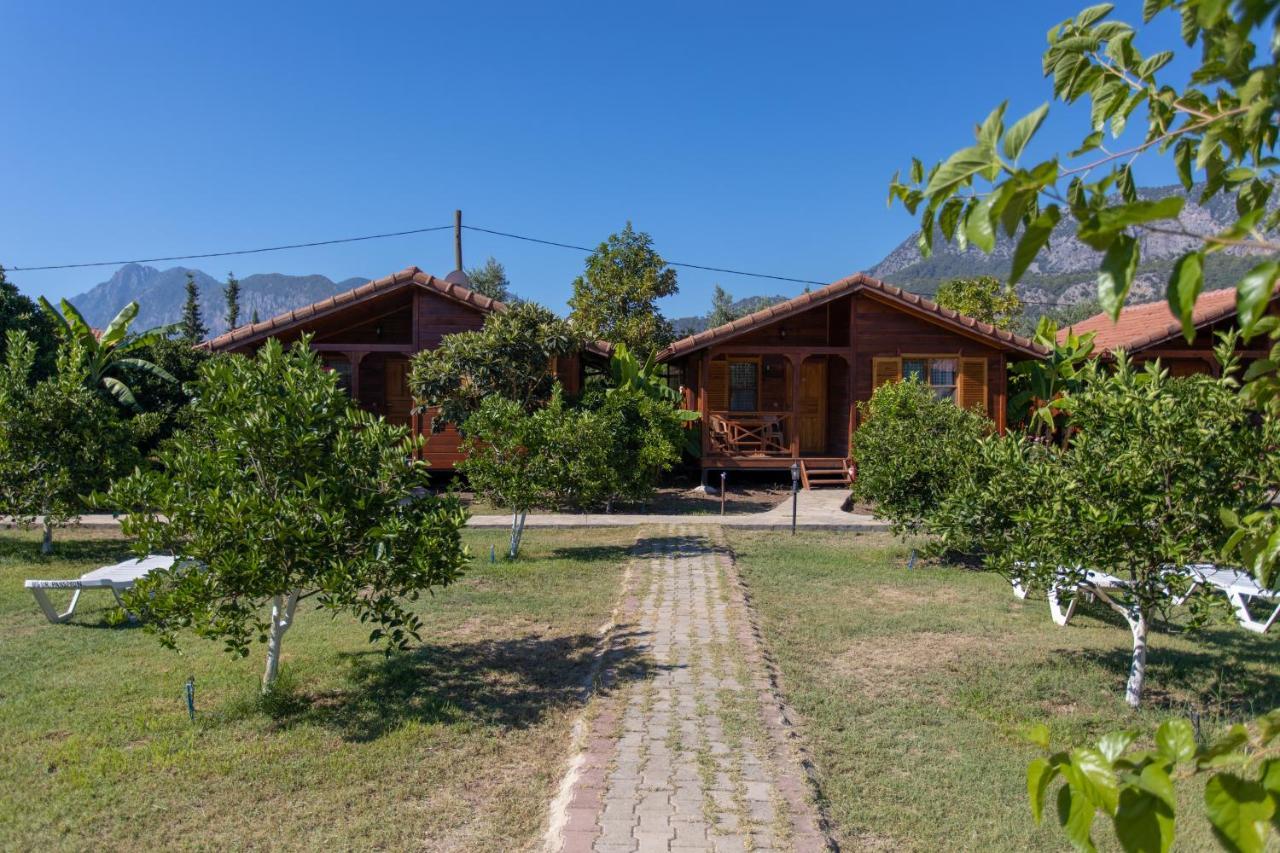 Ugur Pansiyon Bungalows Çıralı Exteriör bild