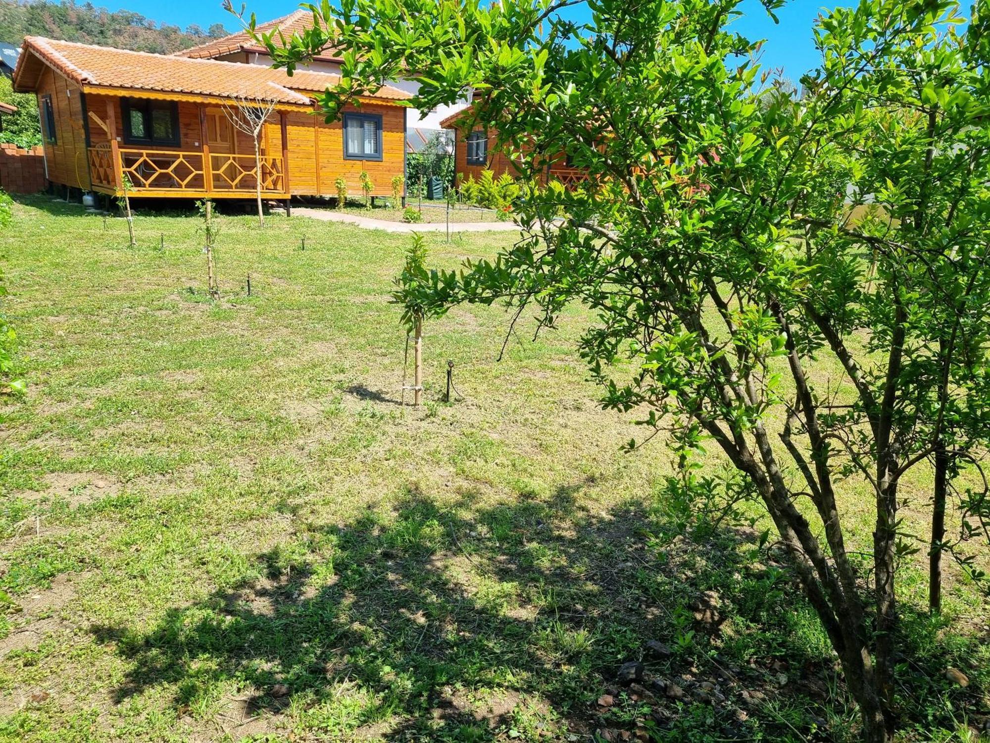 Ugur Pansiyon Bungalows Çıralı Exteriör bild